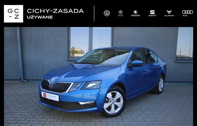 skoda octavia drzewica Skoda Octavia cena 49900 przebieg: 161819, rok produkcji 2019 z Drzewica